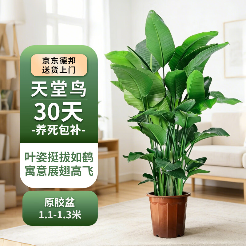 0-1💰复合维生素1瓶 200-20惊喜洪包 如有彩云300-50消费券 - 86线报