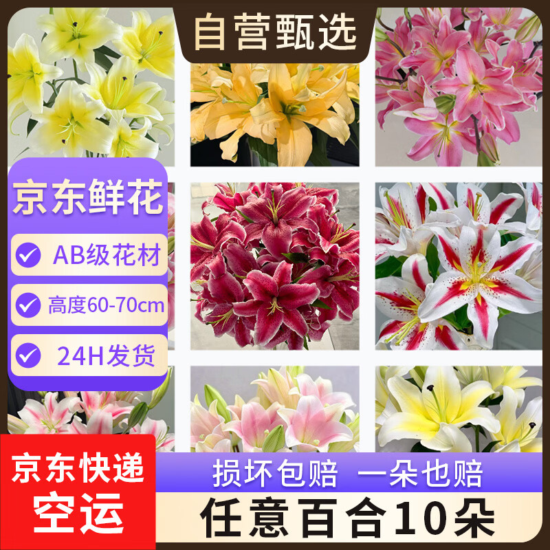 京东鲜花百合鲜花束10朵 19.9元 - 86线报