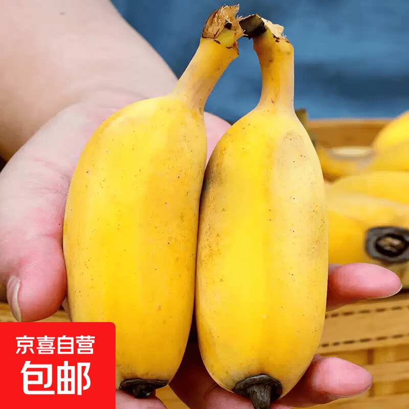 高山香蕉带箱5斤 9.99元，荭心牛奶木瓜净5斤 11.9元，酸甜小米蕉带箱9斤 16.9元 - 86线报