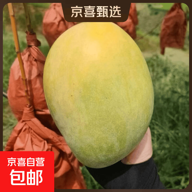 凯特芒新鲜水果四川产地直发大果香甜可口核小肉多芒果带箱9斤净重8斤单果300g+ 12.72元 - 线报酷