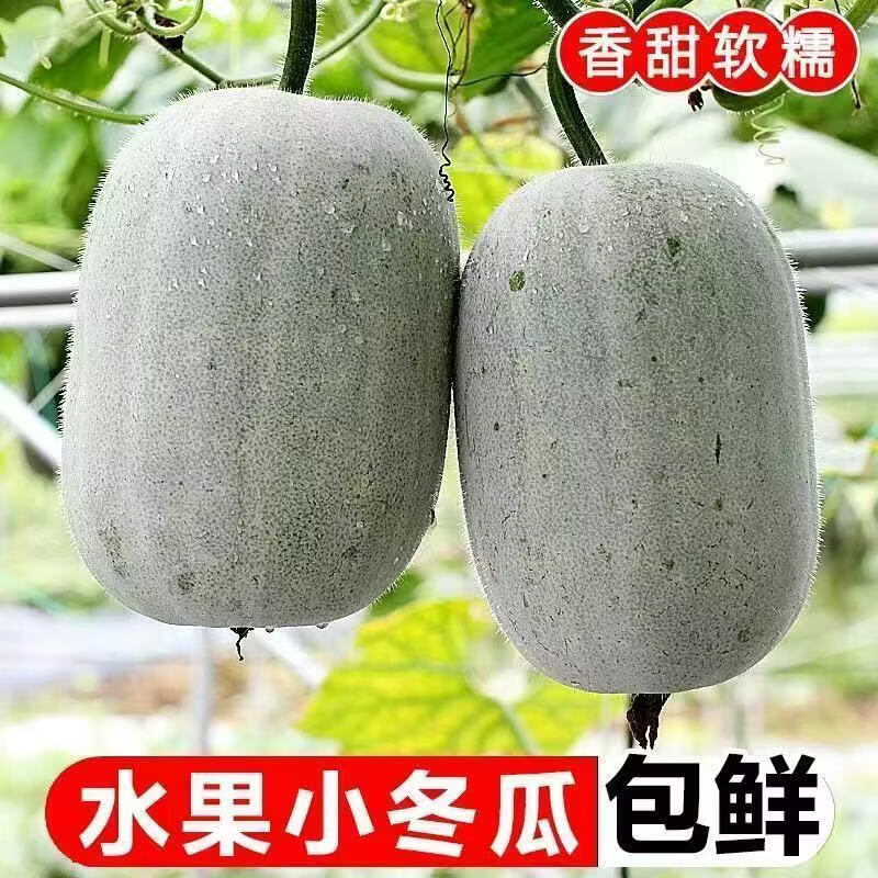 盛觅挂霜水果白冬瓜带箱4.5-5斤 7.9元 - 86线报