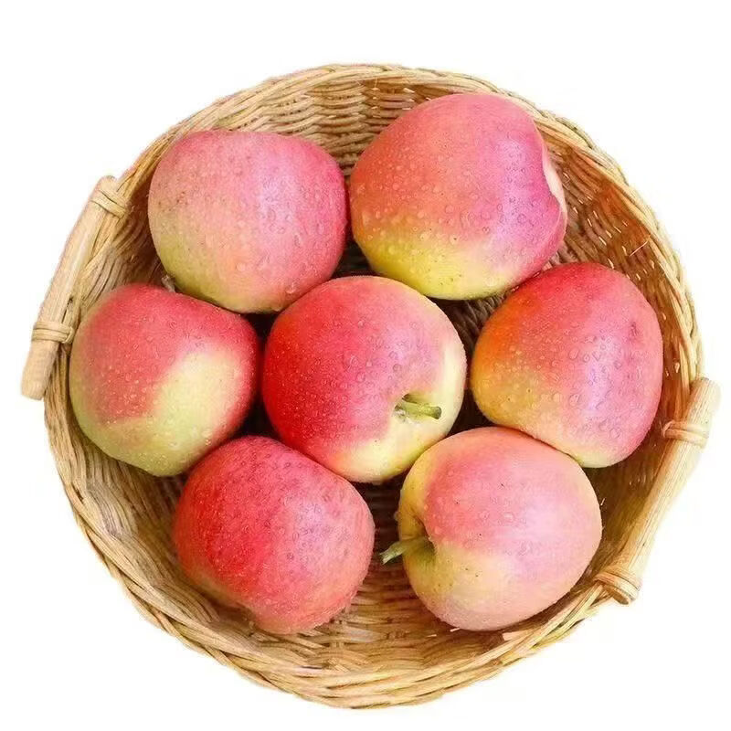 生活&好管家凯特芒果4.5斤单果300g+ 9.9元,脆甜嘎拉苹果带箱4.5-5斤 13.9元 - 线报酷 生活&好管家凯特芒果4.5斤单果300g+ 9.9元,脆甜嘎拉苹果带箱4.5-5斤 13.9元 - 线报酷