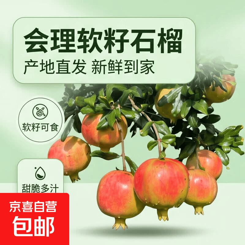 京喜软籽石榴带箱4.5斤单果250g+ 12.49元 - 86线报