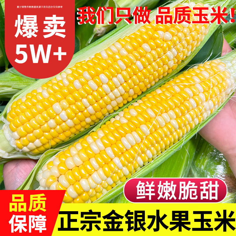 中鲜生云南新鲜水果甜玉米净重5斤 16.9元 - 86线报
