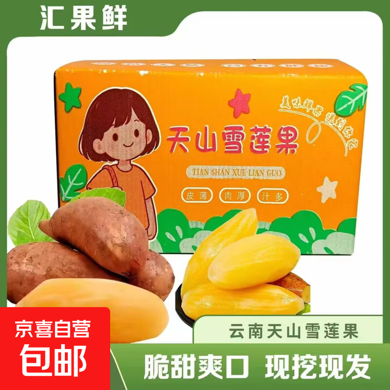 新鲜天山雪莲果5斤大果彩箱装 19.9元 - 86线报