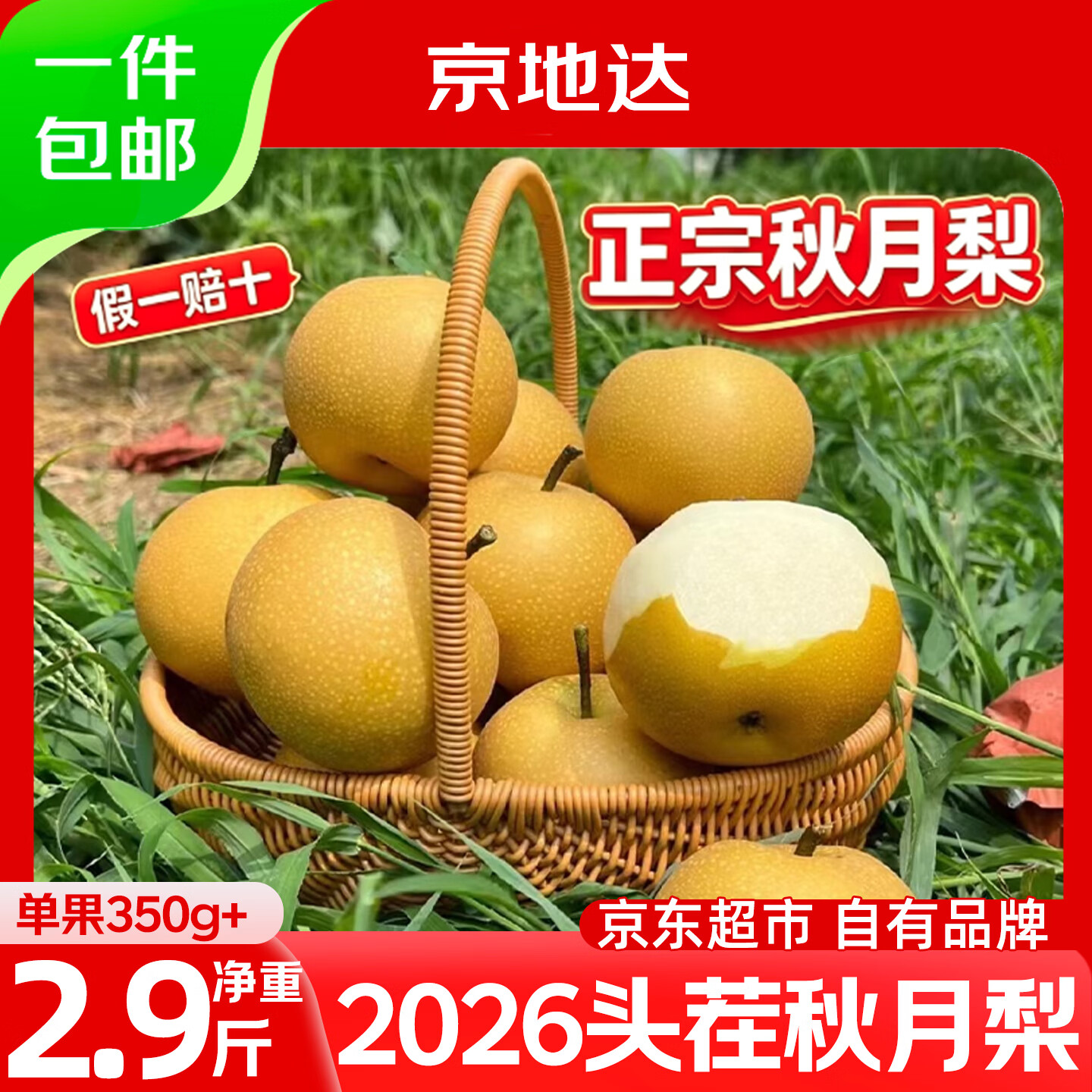 京地达正宗山东秋月梨净重2.9斤 19.9元 - 86线报