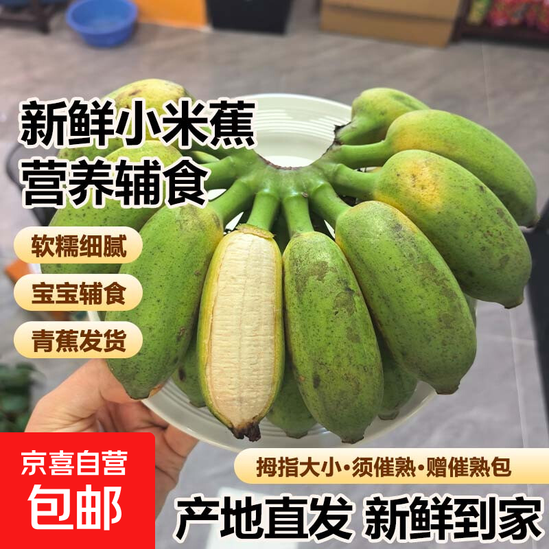 速新鲜小米蕉9斤装 16.9元 - 86线报