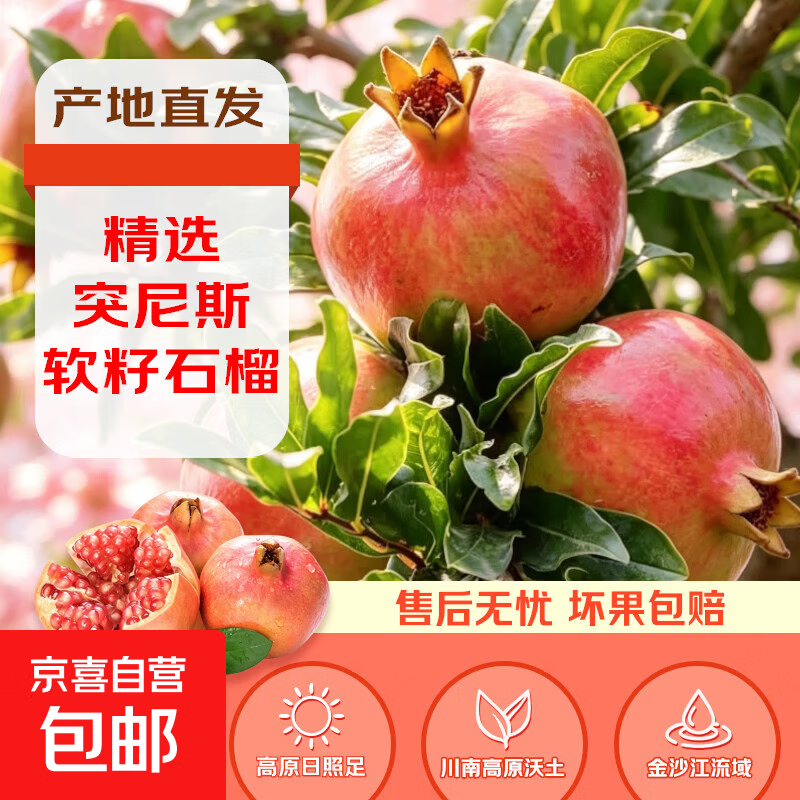 京喜自营软籽石榴净8.5斤 19.9元 - 线报酷