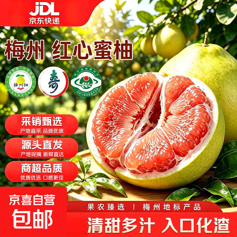 京喜自营梅州红心蜜柚中果2粒净重4斤+ 13.79元 - 86线报