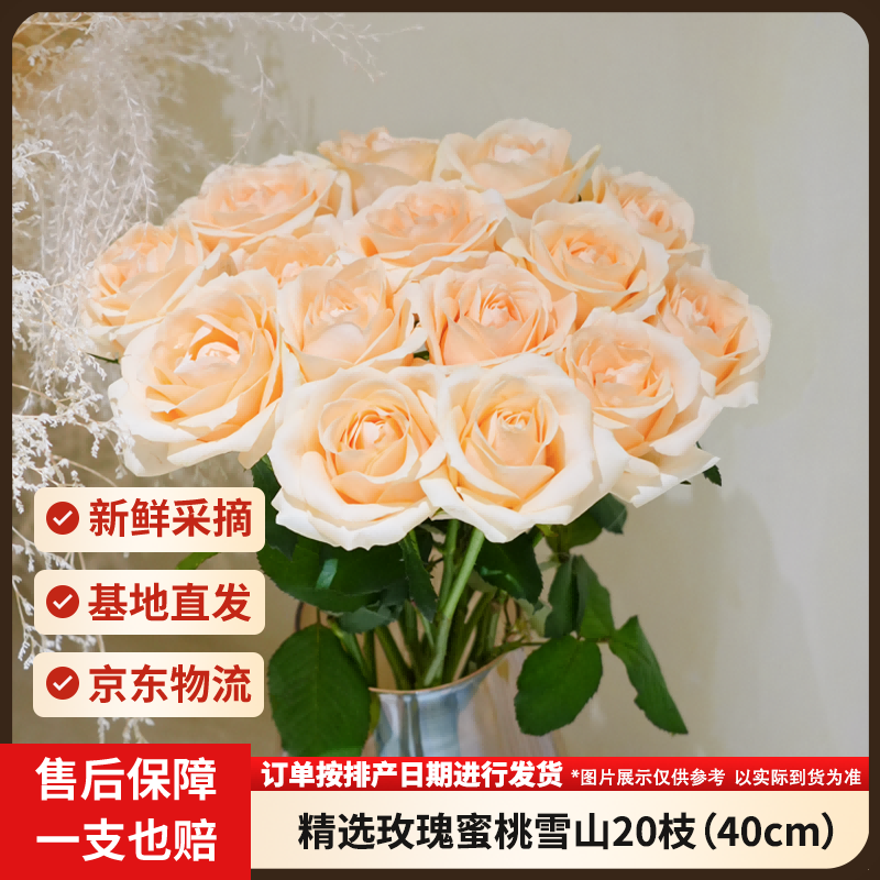 京东鲜花蜜桃雪山20枝 18.9元 - 86线报