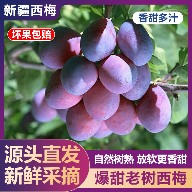 薏品甄鲜新疆西梅净4.5斤 18.9元 - 86线报