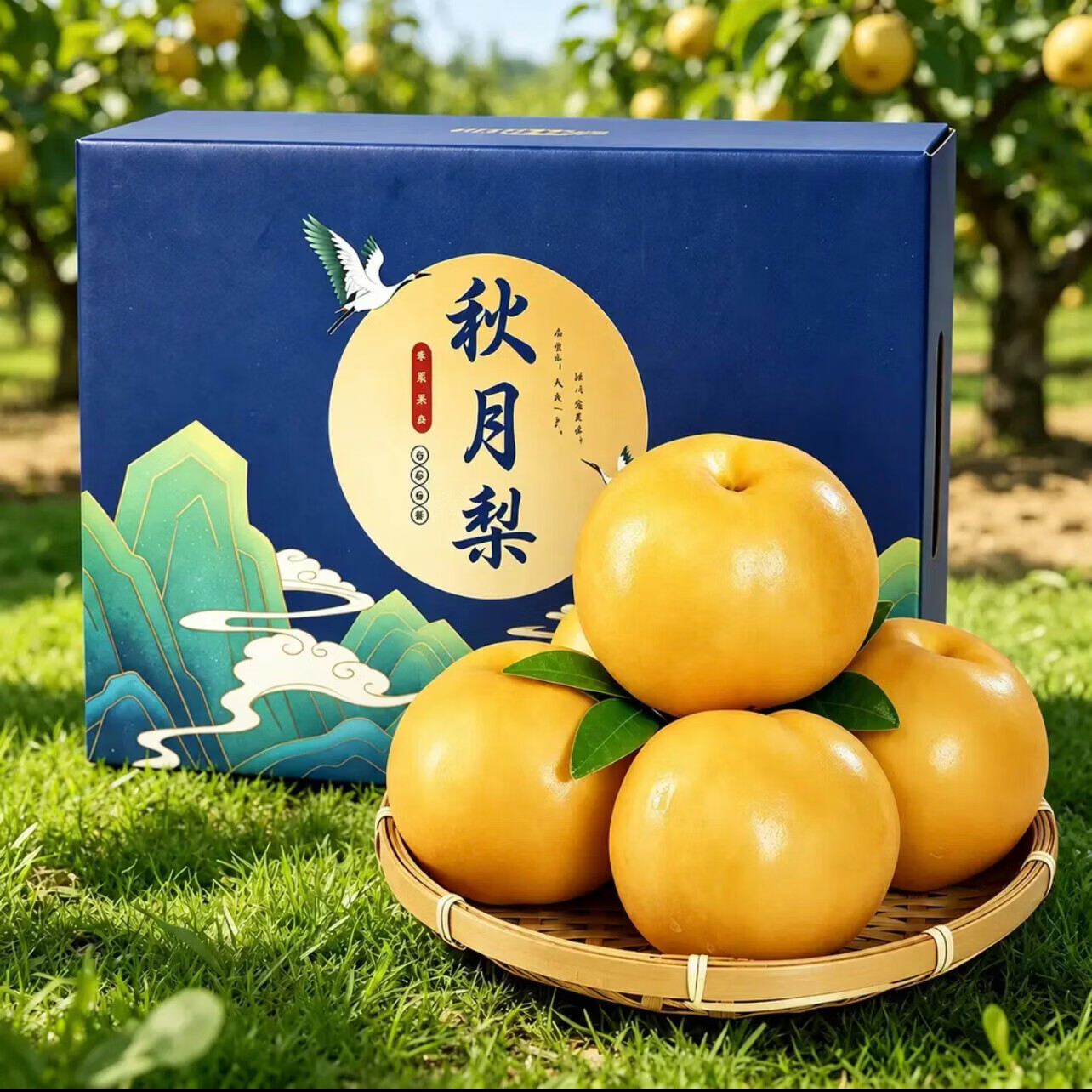 樱鲜山东秋月梨净4.5斤单果300g+果王 17.9元 - 86线报