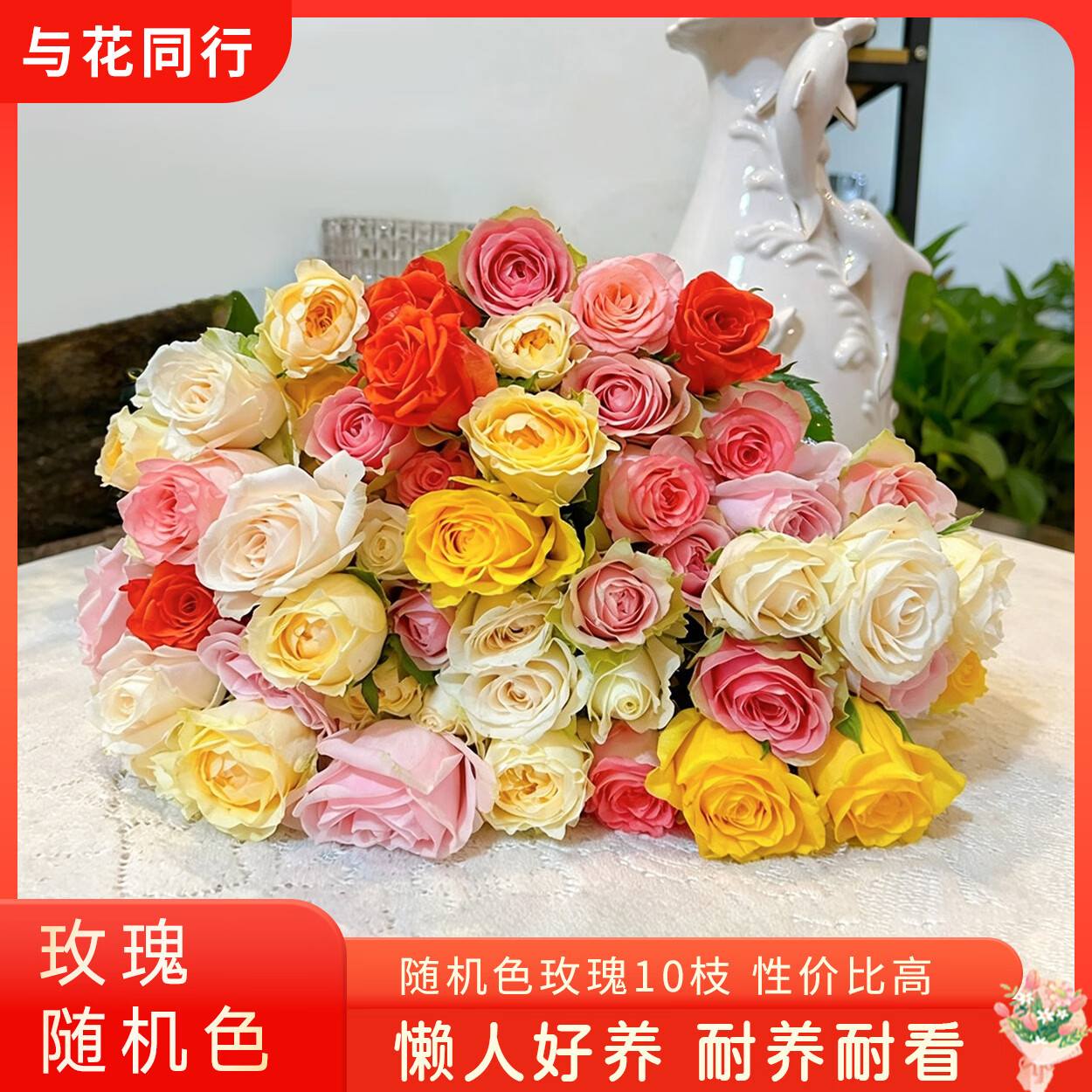 教师节送礼末班車 与花同行 随机单头玫瑰 枝 🔴拍下9.99元 折0.9元/枝 - 线报酷