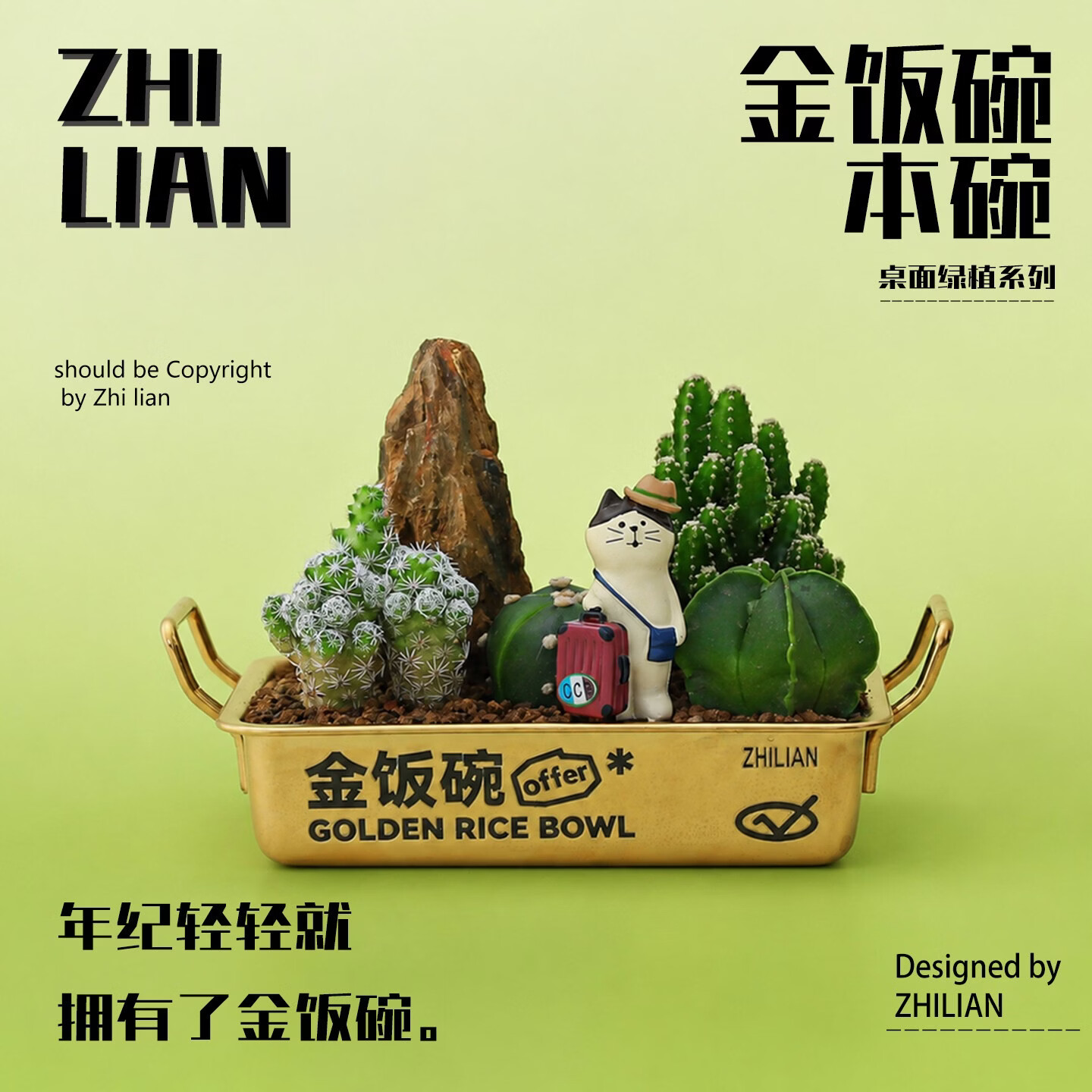 八芽仙人球绿植盆景-金饭碗 29.9元，八芽禁止焦虑雾松水培玻璃盆 14.3元 - 86线报