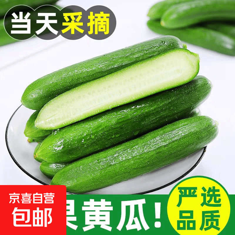 寿光水果黄瓜小黄瓜生吃脆嫩清甜凉拌蘸酱乳瓜农家自种现摘现发 水果黄瓜带箱2斤 净重 1.8斤 - 86线报