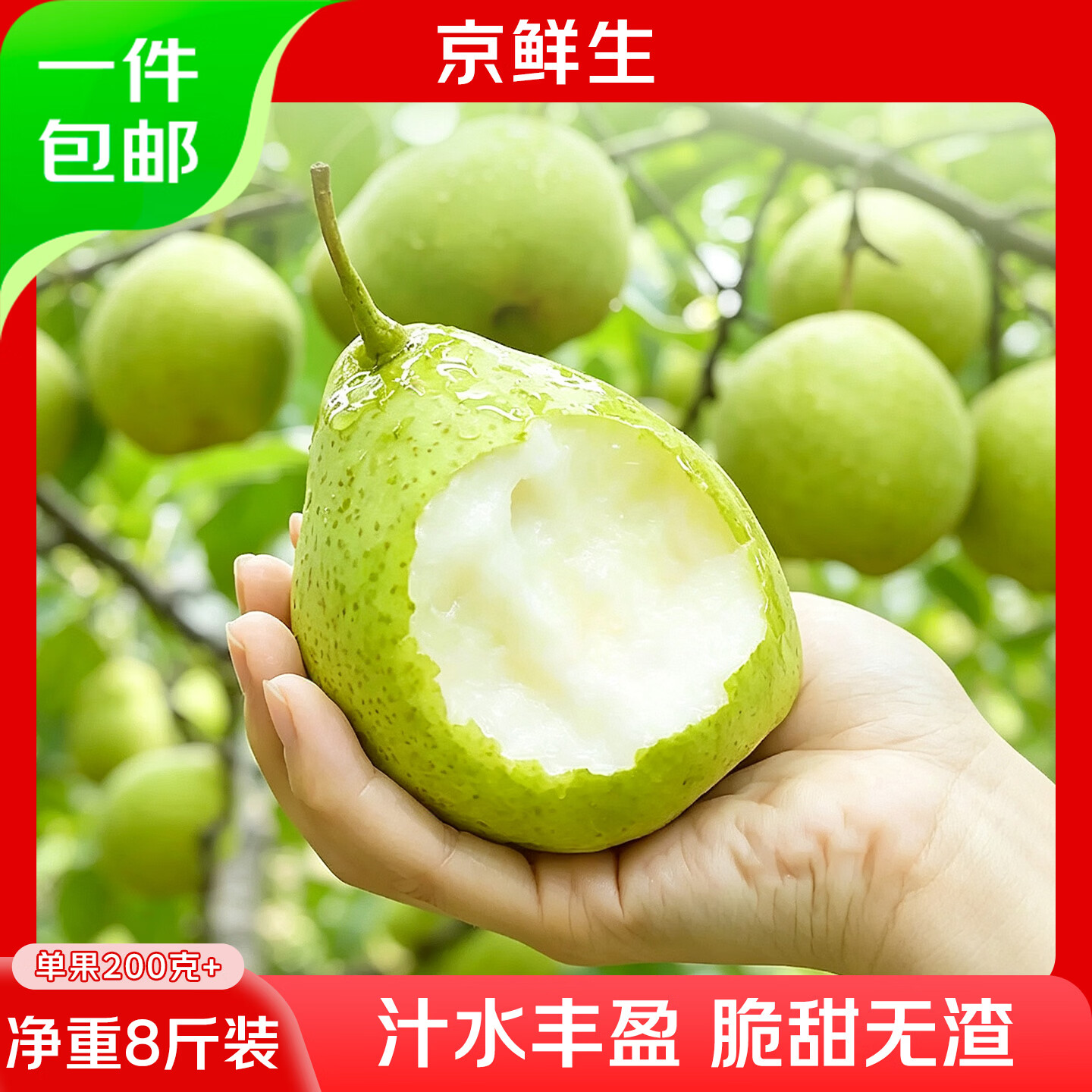 京鲜生河北鸭梨净重8斤单果200g+脆甜多汁 27.89元 - 线报酷