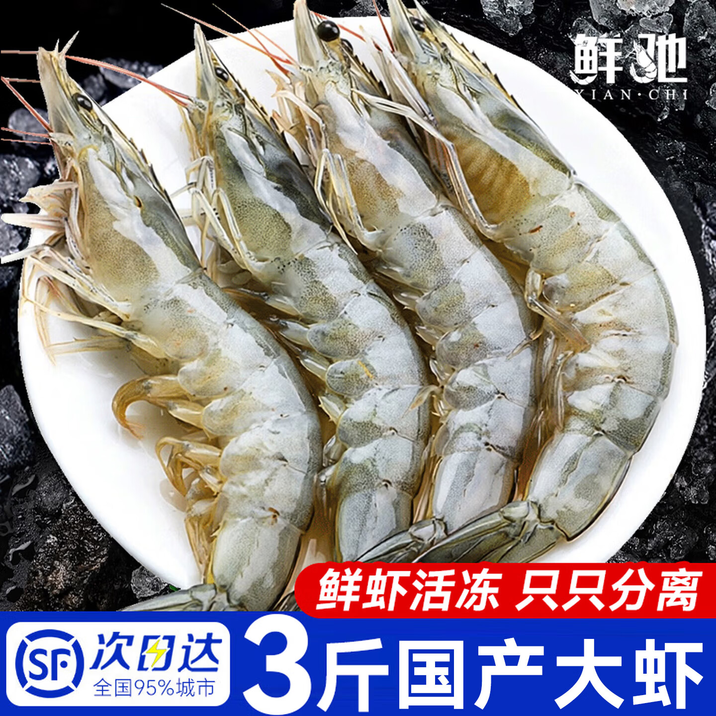 鲜驰青岛冻大虾净重3斤 56.8元，鲜驰速冻黑虎虾2斤 59.9元 - 86线报