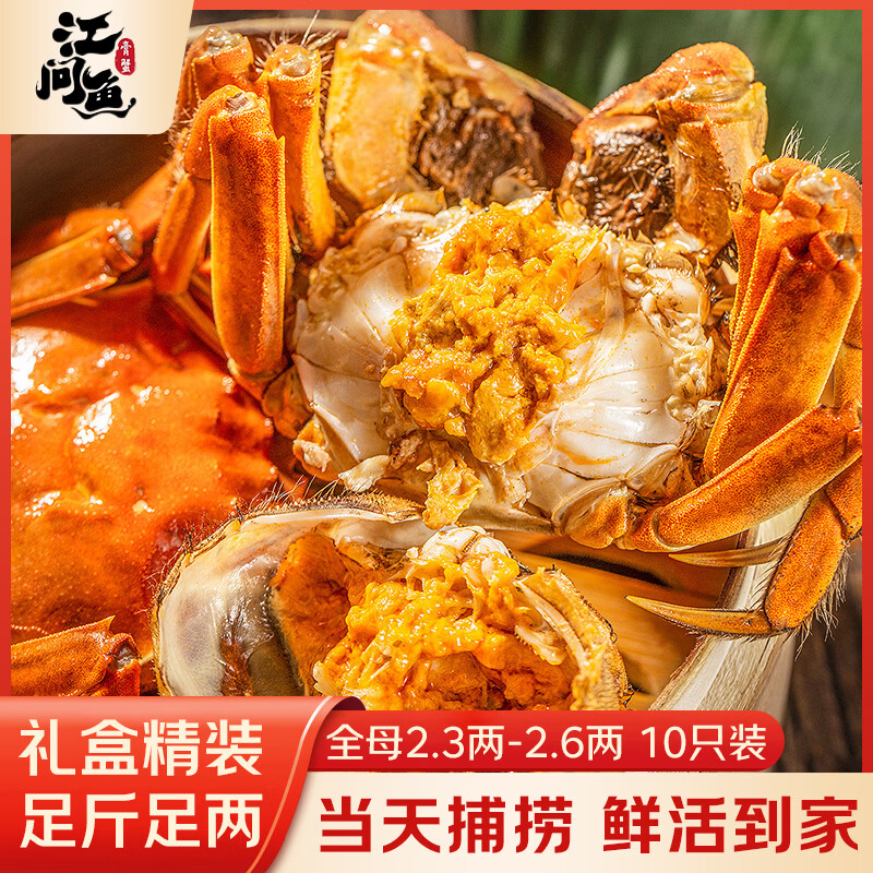 江问鱼全母大闸蟹2.3两-2.6两10只 137元 - 86线报