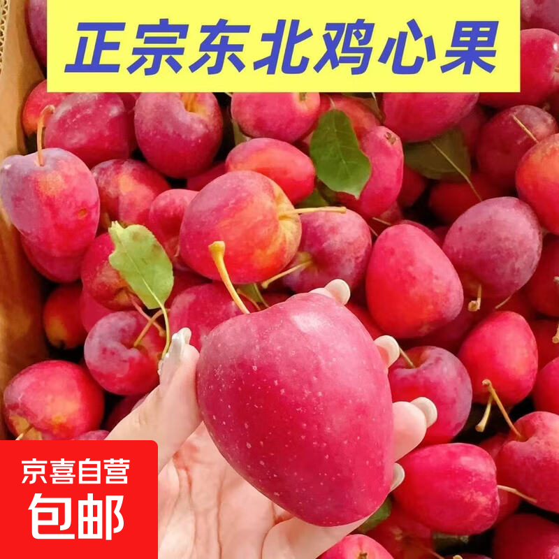 京喜加正宗东北沙果新鲜现摘酸甜沙果脆孕妇水果东北海棠果东北大沙果带箱3斤净2.5斤 9.9元 - 美泡泡