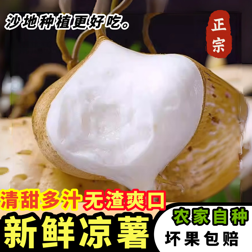 黄六爷湖北凉薯5斤 10.8元 - 线报酷