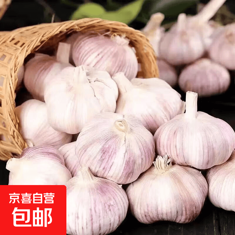 金乡大蒜 1斤 5.9元 - 86线报