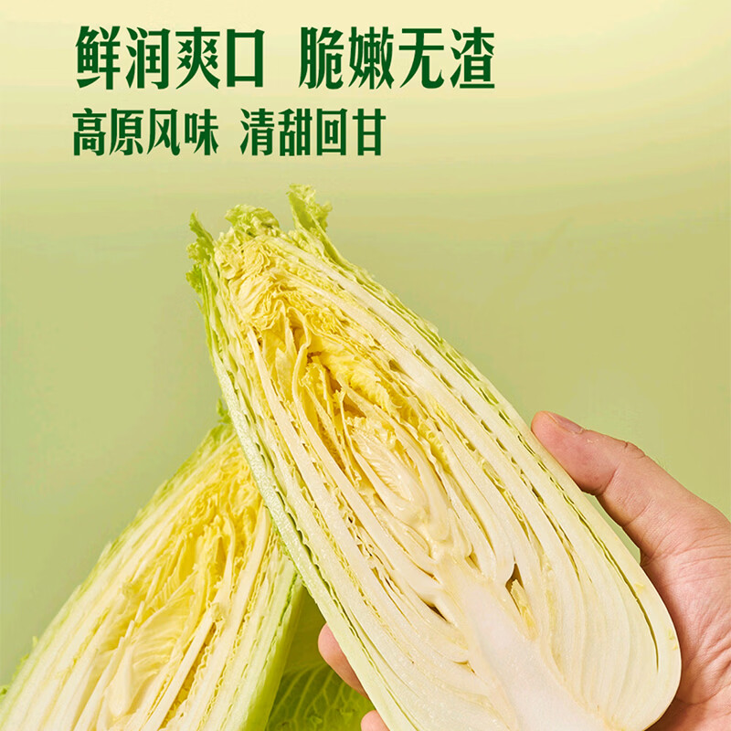 京鲜生龙芽白菜净5斤 18.8元 - 86线报