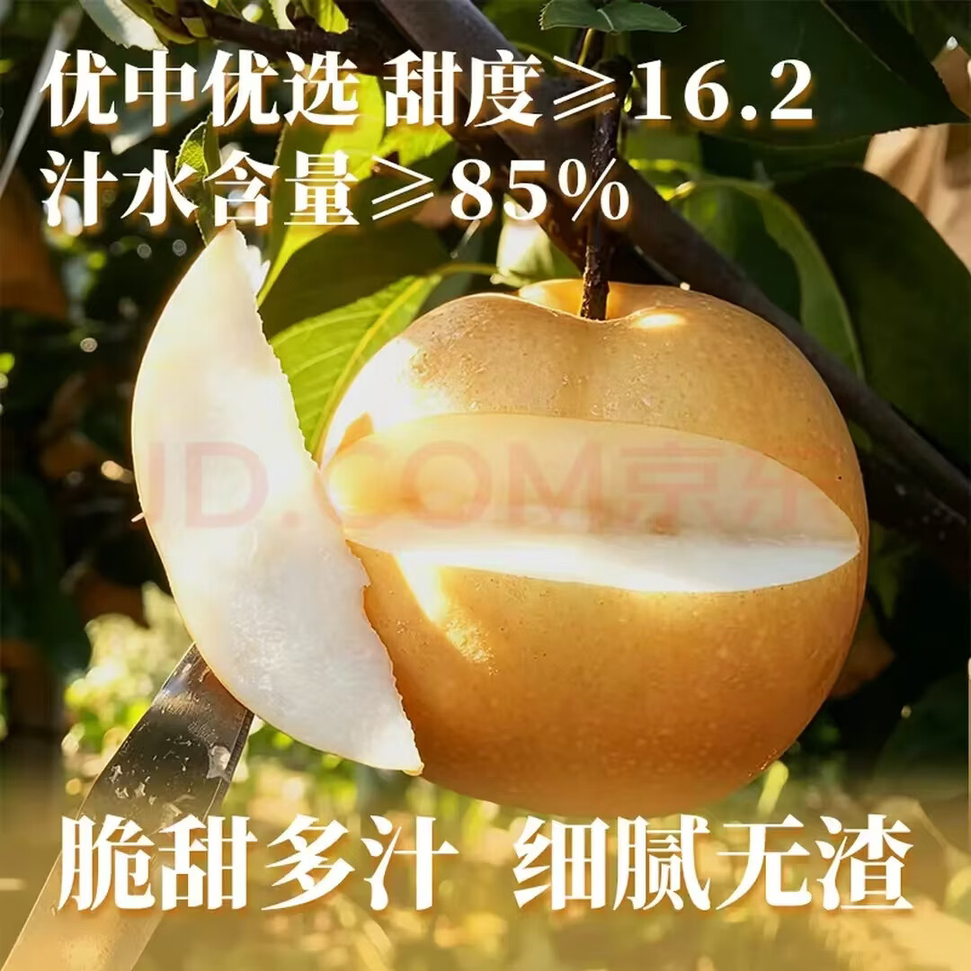优鲜鸟 正宗莱阳秋月梨5斤 13.9????精选特大果300-500g 细腻清甜 - 折送网