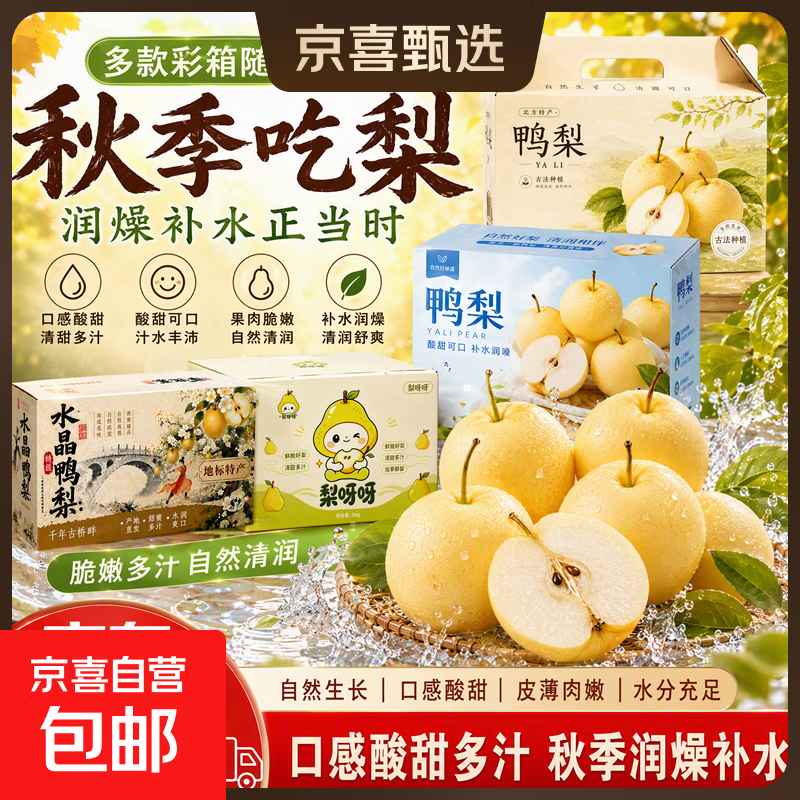 京喜河北水晶梨净重3.5斤彩箱礼盒 10.99元 - 86线报