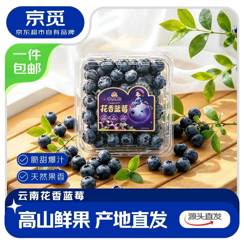 京觅大果云南蓝莓100g*6盒 69.9元 - 86线报