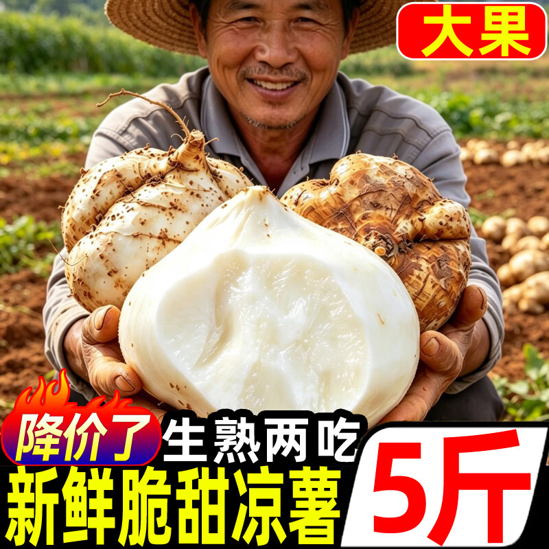 新鲜凉薯净重5斤约6-7个大果300g+ 12.8元 - 线报酷