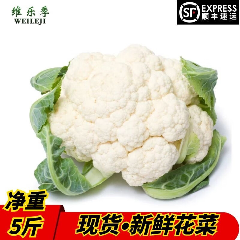 京东超市 2020-02-25 - 第18张 | 最新购物优惠券 京东超市 2020-02-25 - 第18张 | 最新购物优惠券