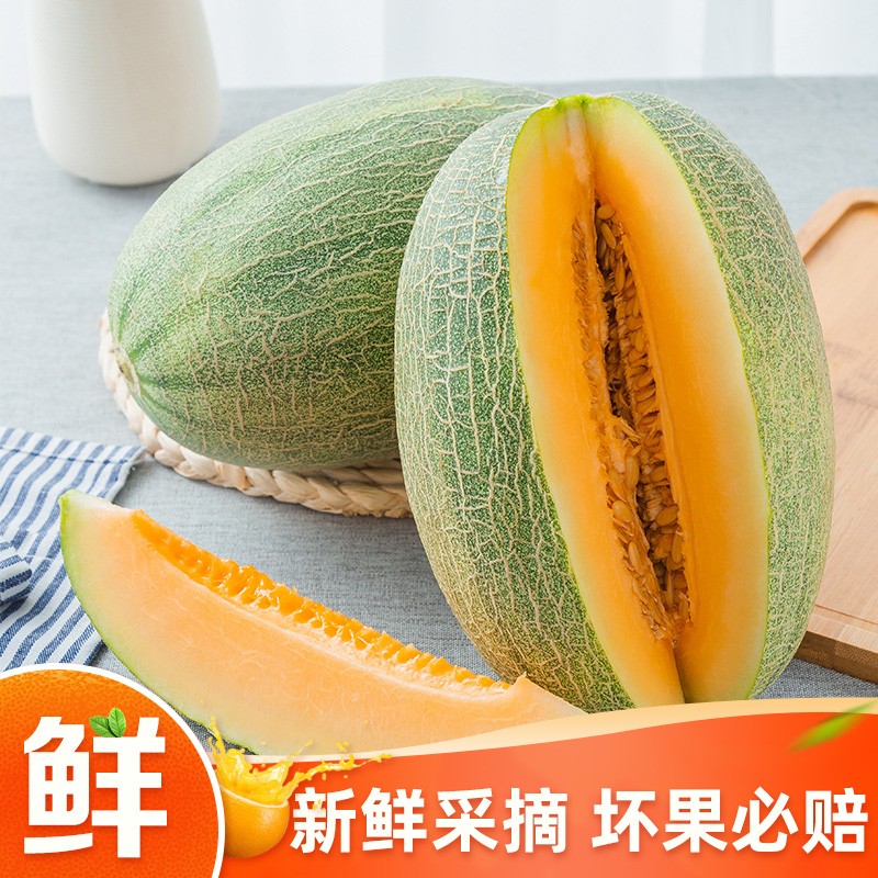 京东好券商品 2020-03-25 - 第22张 | 最新购物优惠券 京东好券商品 2020-03-25 - 第22张 | 最新购物优惠券