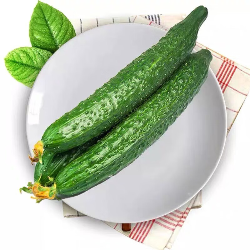 首页 其他 >商品详情  推荐理由 :新鲜现摘带刺黄瓜 长黄瓜长脆嫩小