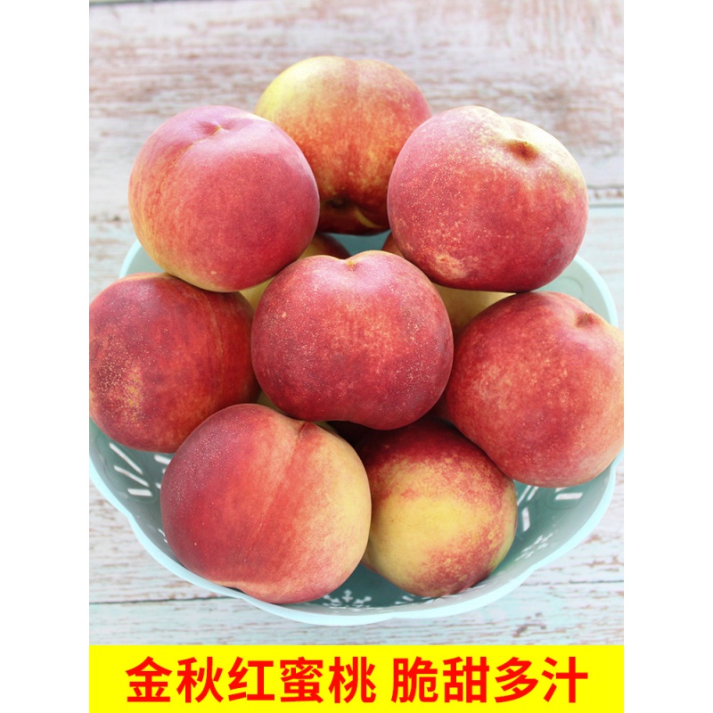 京东超市 2020-02-02 - 第15张 | 最新购物优惠券 京东超市 2020-02-02 - 第15张 | 最新购物优惠券