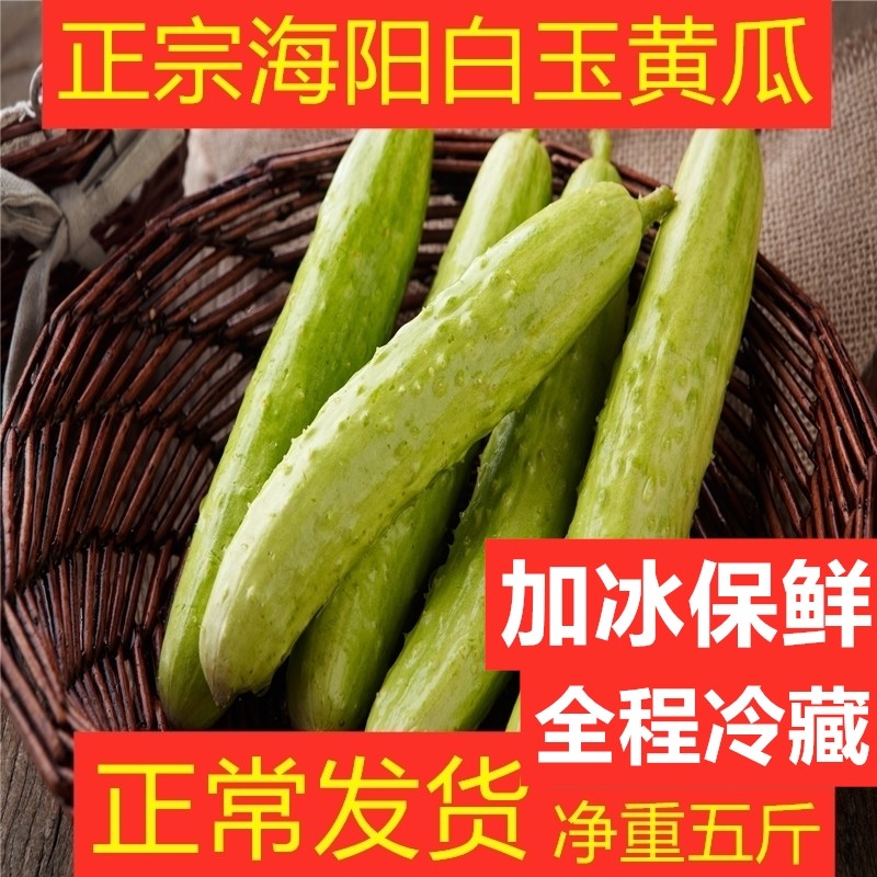 京东超市 2020-04-22 - 第22张 | 最新购物优惠券 京东超市 2020-04-22 - 第22张 | 最新购物优惠券
