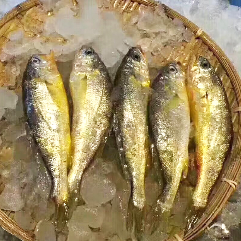 京东秒杀商品 2020-04-12 - 第25张  | 最新购物优惠券 京东秒杀商品 2020-04-12 - 第25张  | 最新购物优惠券