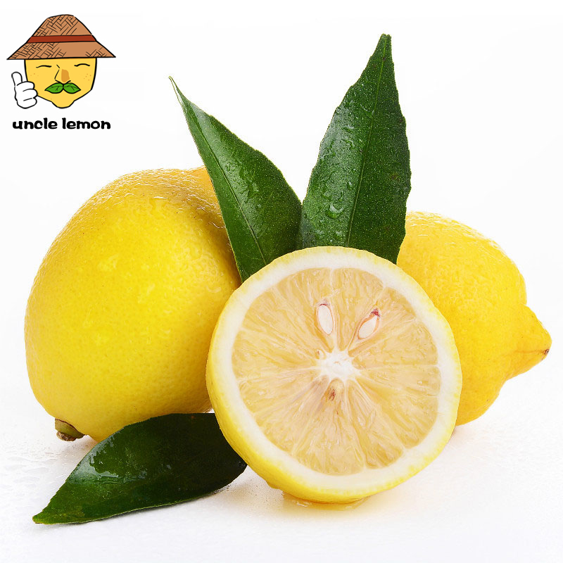 uncle lemon四川安岳新鲜黄柠檬12个装 单果90g-120g 9.9元 - 86线报