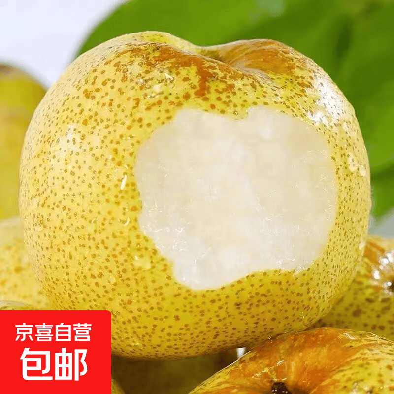 京喜安徽砀山酥梨带箱5斤 11.99元 - 86线报
