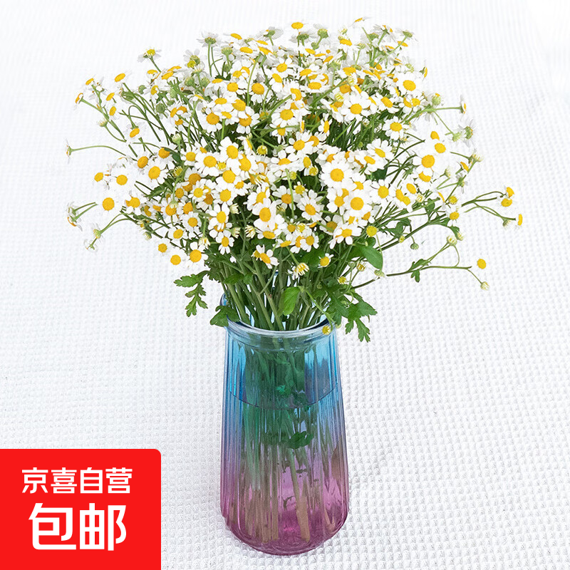 玫瑰仿真小花束 9.9元，洋甘菊10枝 9.99元，随机特价百合9朵 10.99元 - 线报酷