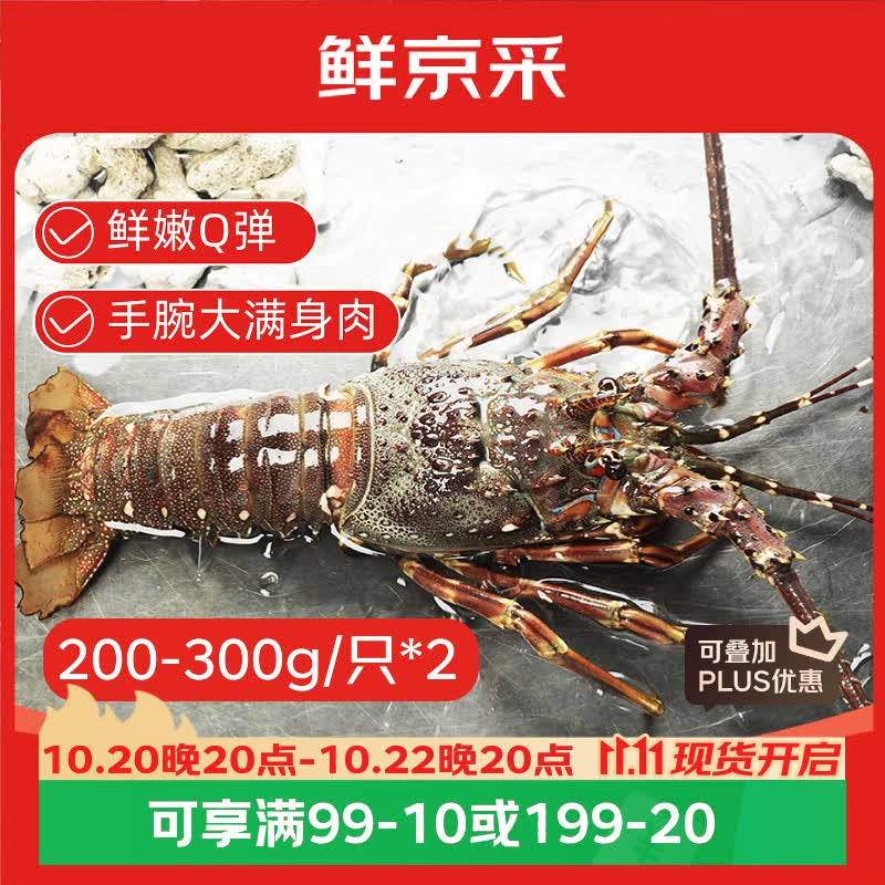 鲜京采小青龙净重200-300g*2只 161.01元 - 86线报