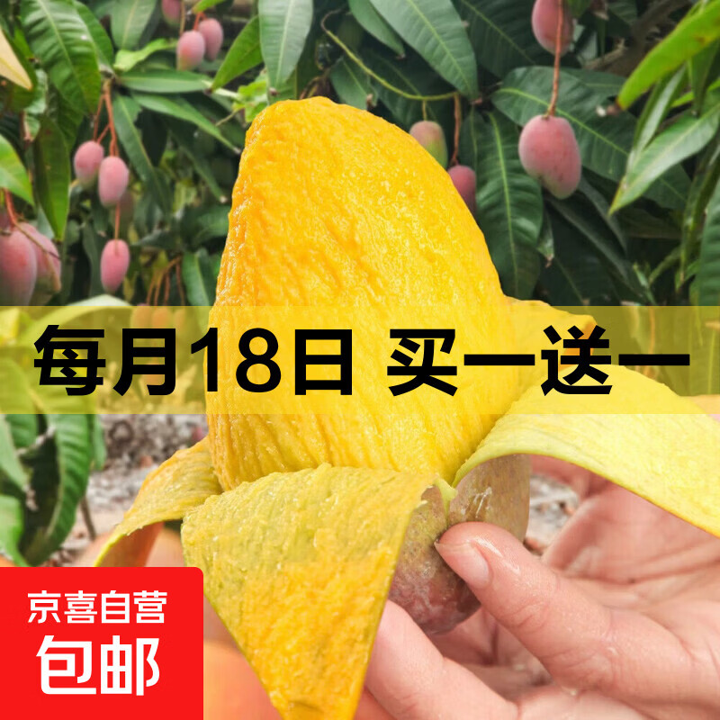 京喜加海南三亚贵妃芒新鲜水果带箱250g 3.99元 - 线报酷