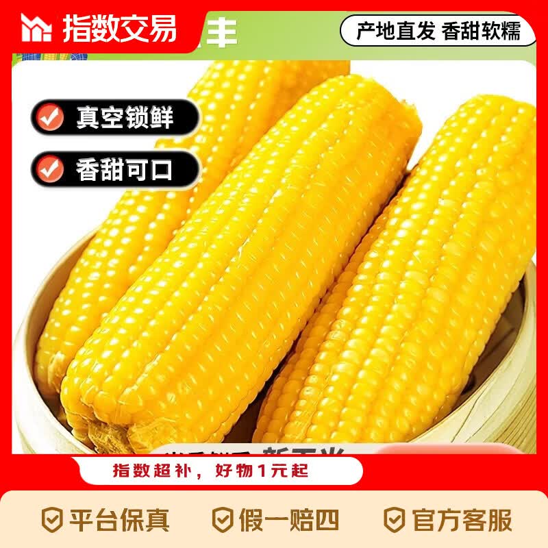 东北黄糯玉米8棒 8.9元 - 线报酷