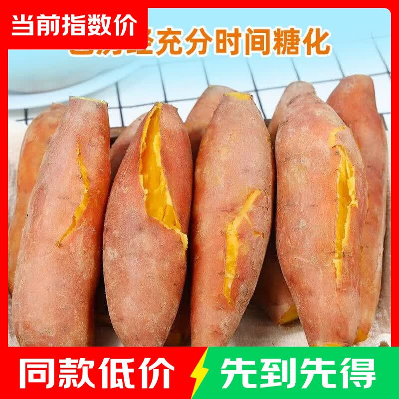 沙地蜜薯九龙蜜 小果单果100g起 带箱5斤净重4.5斤 带箱 中小果 到手价 - 86线报