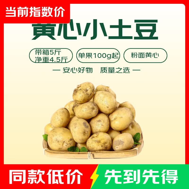 黄心小土豆单果100g带箱5斤 5.99元 - 86线报
