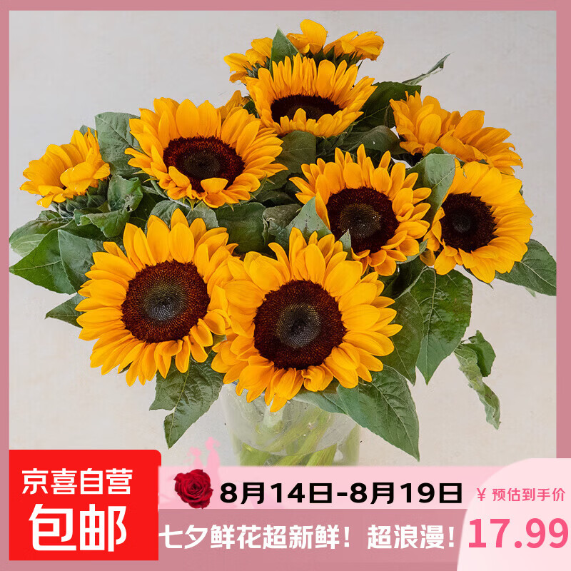紫色睡莲10枝 11.99元，黄天霸百合多头9朵 15.99元，中大花向日葵10枝 17.99元 - 86线报