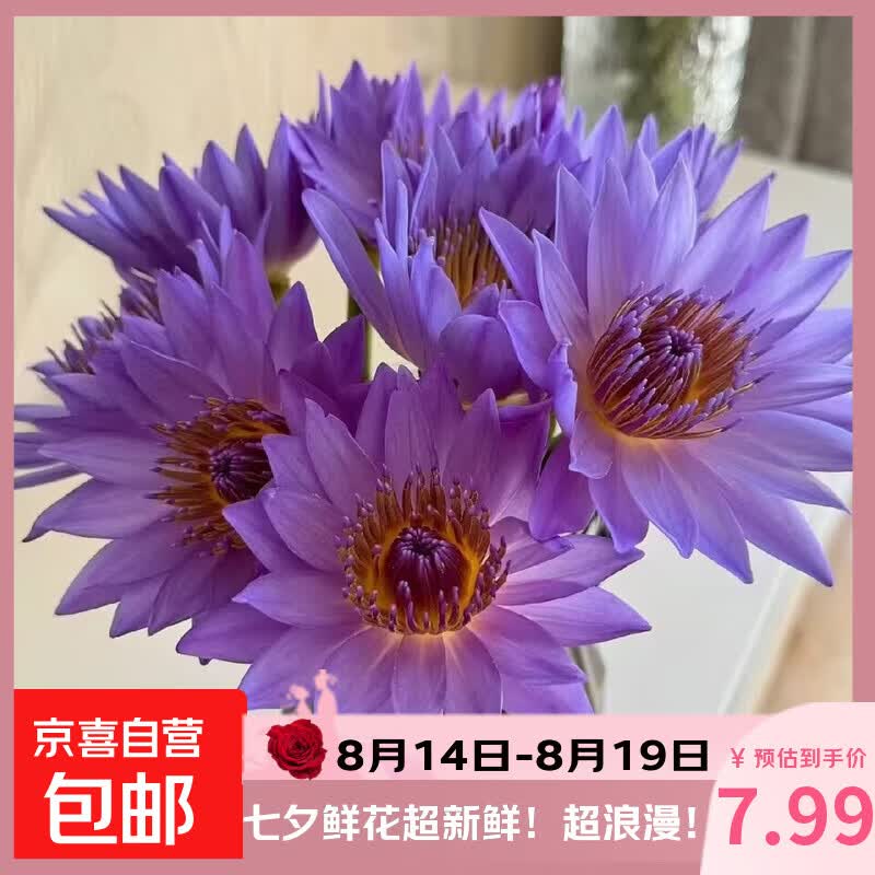 小金枝玉叶+原盆 7.7元，紫色睡莲35CM*5支 7.99元，鲜切火焰兰20枝 13.89元 - 线报酷
