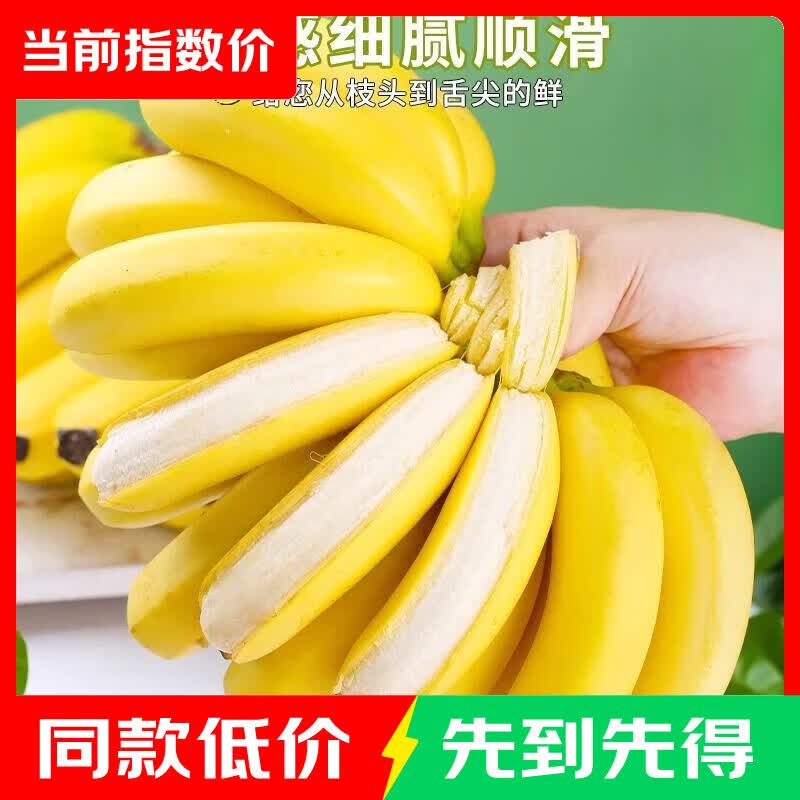 云南高山香蕉4斤 6.9元 - 86线报