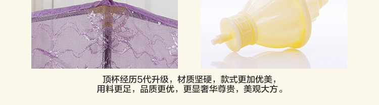 芭黎春 蚊帐  宫廷三开门不锈钢落地方顶纹账 1.8米床 夏日梦舞-玉 1.8m床