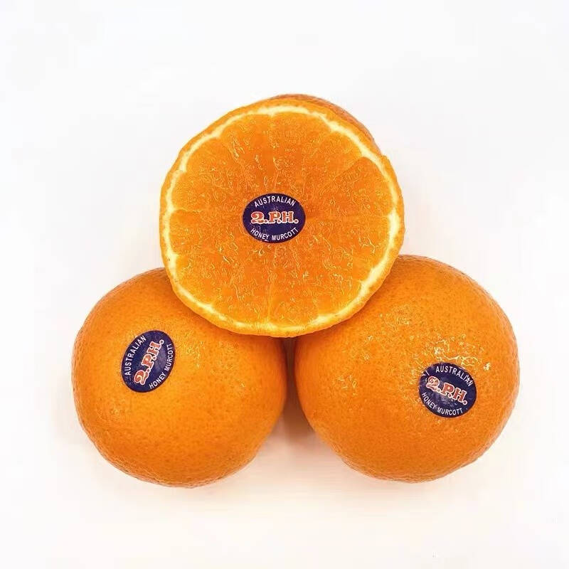 00日本品种晴王阳光玫瑰葡萄  香印青提无籽提子生鲜新鲜水果中秋礼盒