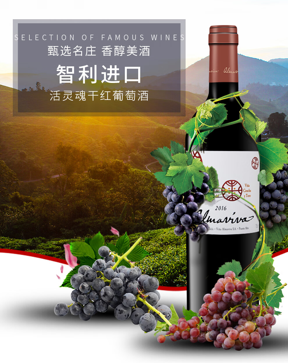 活灵魂almaviva红酒智利酒王原装进口干红葡萄酒750ml单支礼盒装